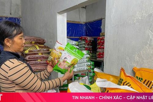 Hà Tĩnh siết chặt công tác quản lý cung ứng giống lúa