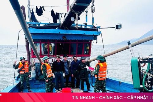 Nhiều tàu cá ngoại tỉnh bị bắt vì đánh bắt hải sản trái phép