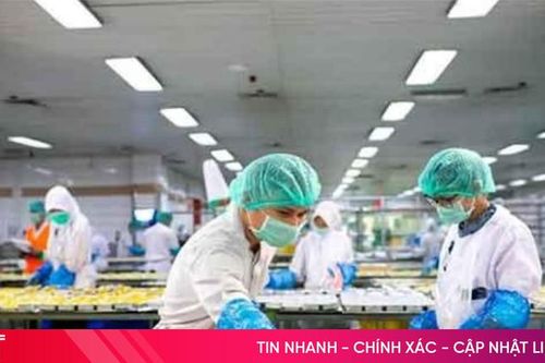 Xuất khẩu lao động làm những công việc gì?