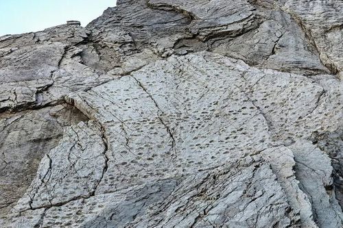 Italy: Kinh ngạc với những dấu chân khủng long trên nền vách núi dựng đứng