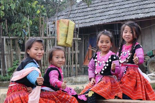 Chuẩn bị các điều kiện triển khai Luật Dân số