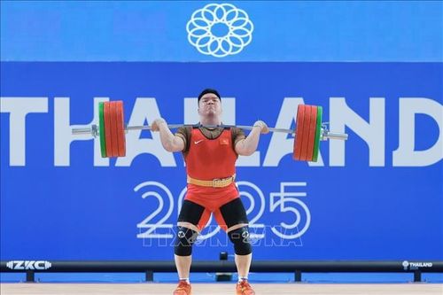 SEA Games 33: Cử tạ giải cơn khát HCV