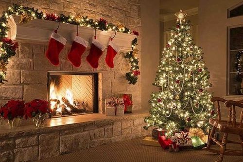 Câu chuyện 'rùng mình' khi mang cây thông Noel thật vào nhà mùa Giáng sinh