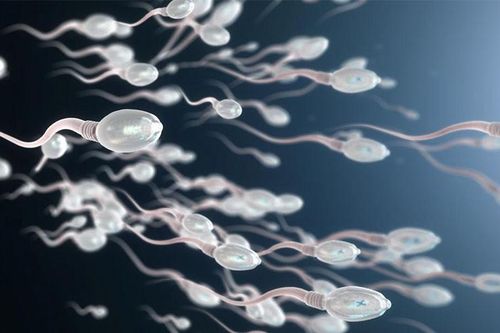 Cách cải thiện số lượng và chất lượng 'tinh binh' trong mùa đông lạnh giá