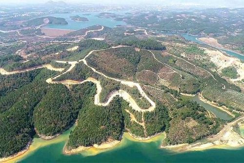 Lâm Đồng thu hồi trên 1.428 ha đất từ Dự án Sài Gòn Đại Ninh