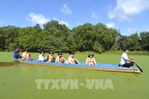 Đồng Tháp chi gần 300 tỷ đồng mở rộng 'lá phổi xanh' Đồng Tháp Mười