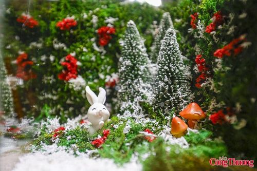 Tiểu cảnh khô lồng kính mùa Noel tạo sinh kế cho người khuyết tật