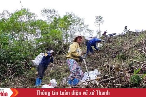 Mùa sắn mới ở Mường Lý
