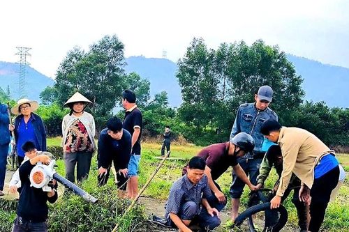 Chủ động bảo vệ vụ sản xuất đông xuân