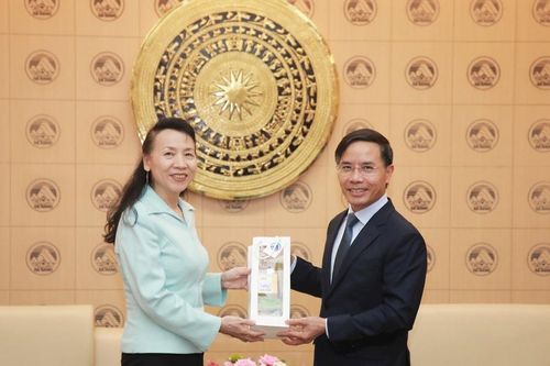 Đà Nẵng mời gọi các nhà đầu tư Trung Quốc đến tìm kiếm cơ hội kinh doanh