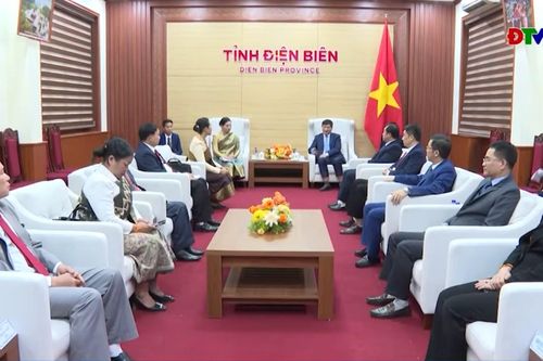 Đoàn đại biểu Ban Tuyên huấn 3 tỉnh Bắc Lào chào xã giao Thường trực Tỉnh ủy
