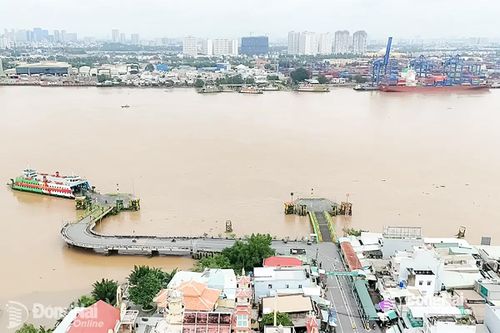 Thi tuyển phương án kiến trúc cầu Cát Lái và cầu Long Hưng