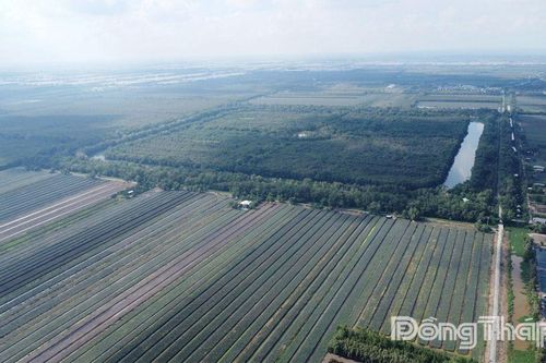 Hơn 296 tỷ đồng mở rộng Khu bảo tồn sinh thái Đồng Tháp Mười