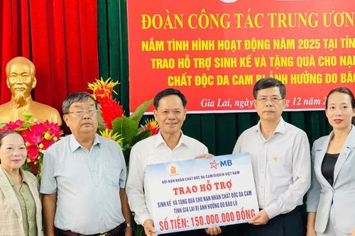 Đoàn công tác Trung ương Hội Nạn nhân chất độc da cam/dioxin Việt Nam làm việc tại Gia Lai