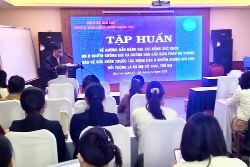 Gia Lai: 44 cán bộ, nhân viên y tế tập huấn về tác động với sức khỏe do ô nhiễm không khí