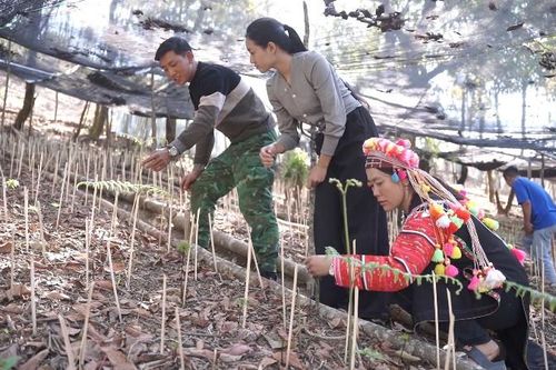 Biến khát vọng vươn lên thành hiện thực