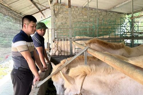 Đổi thay nhờ xây dựng nông thôn mới