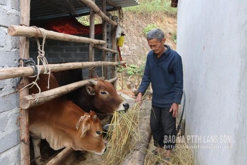 Lan tỏa ý chí vươn lên