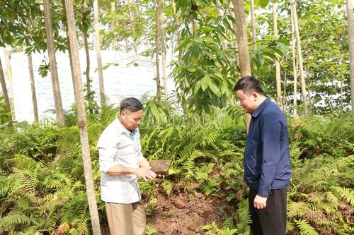 Dấu tích người Việt cổ bên suối Ngòi Nhù