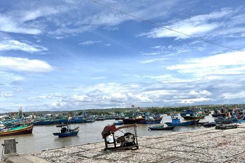 Cá khô các làng chài Lâm Đồng vào vụ tết