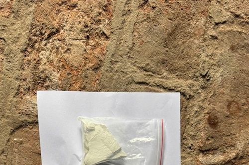 Hưng Yên: Bắt Vũ Ngọc Tân, thu 413,535g heroin