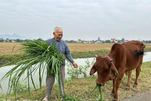 Đa dạng hóa sinh kế cho người nghèo: Khi 'chiếc cần câu' được trao đúng cách