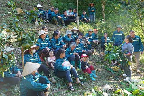 Tạo năng lực tự thân, mở đường phát triển bền vững