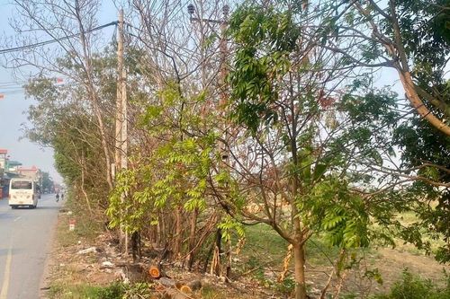 Hải Phòng: Giao hơn 100.000m2 đất cho Công ty cổ phần tập đoàn đầu tư Tây Bắc để thực hiện dự án