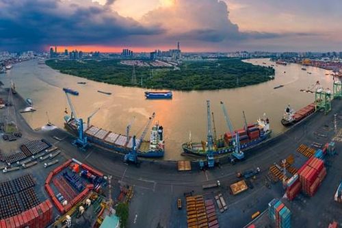 Hủy phiên đấu giá 19,6 triệu cổ phiếu Cảng Sài Gòn vì 'ế' khách, dù lợi nhuận SGP tăng gấp 3 lần