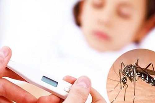 Các vitamin cần bổ sung sau sốt xuất huyết giúp cơ thể mau hồi phục