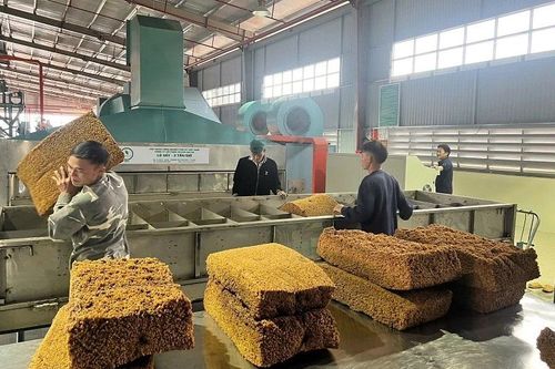 Điện Biên có nhà máy chế biến mủ cao-su đầu tiên trong vùng nguyên liệu