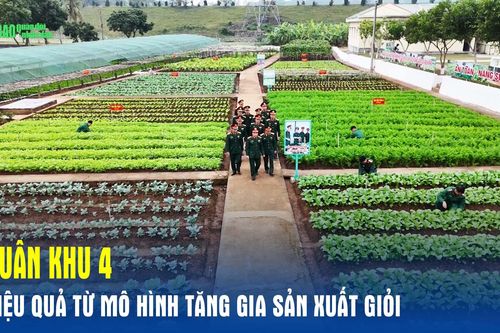 Quân khu 4: Hiệu quả từ mô hình tăng gia sản xuất giỏi