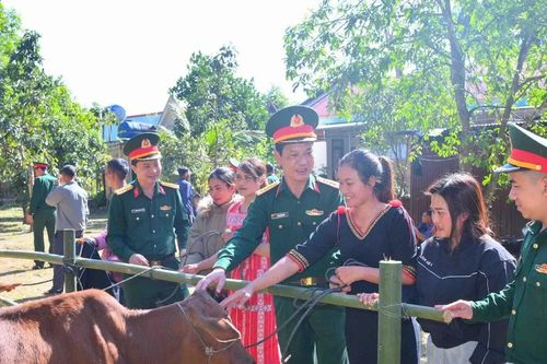 Quảng Ngãi: Trao tặng 49 con bò giống cho người dân vùng biên giới