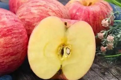 Không muốn bệnh phổi 'gõ cửa', hãy ăn 4 loại trái cây này