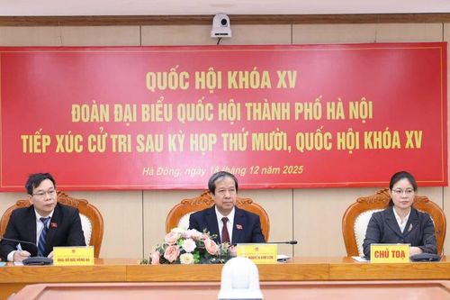 Thực hiện tốt vai trò đại biểu Quốc hội, đáp ứng kỳ vọng của cử tri