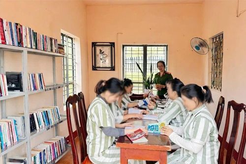 Thư viện nhỏ dành cho những bạn đọc 'đặc biệt'