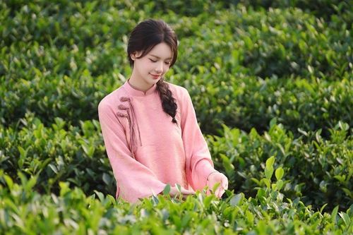 Lời thì thầm từ linh hồn trong sắc xanh đồi chè Thái Nguyên