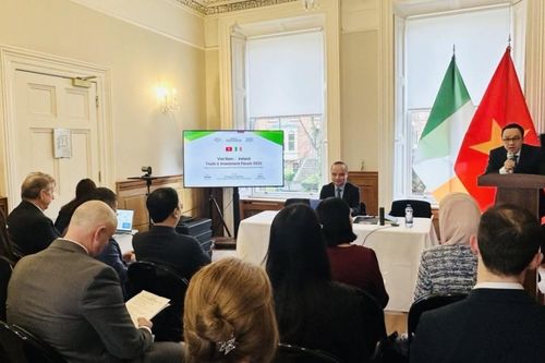 Tăng cường kết nối doanh nghiệp, mở rộng hợp tác Việt Nam-Ireland