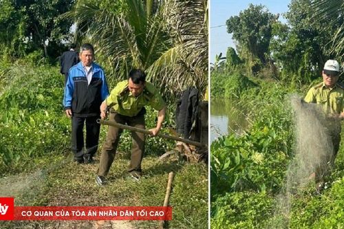 Hải Phòng: Ngăn chặn tình trạng săn bắt chim hoang dã, chim di cư trái phép