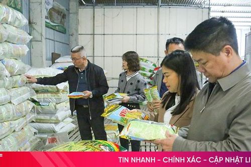Nguồn cung vật tư nông nghiệp dồi dào, sẵn sàng cho vụ xuân thắng lợi