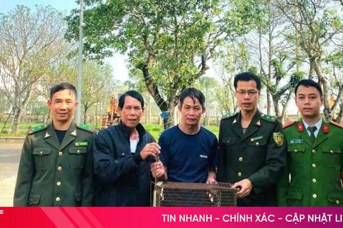 Bắt được động vật quý hiếm, người dân bàn giao cho lực lượng chức năng
