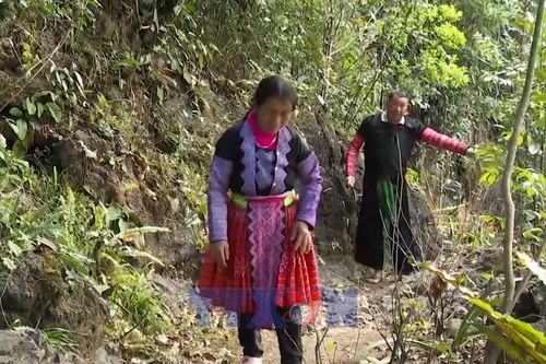 Người Mông Pà Cò giữ rừng để phát triển du lịch bền vững