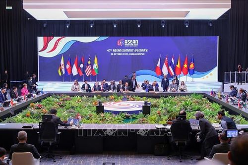 Nhìn lại thế giới năm 2025: Trung tâm cân bằng và đối thoại