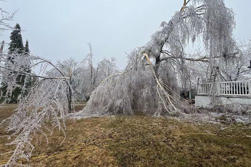 Canada: Bão lớn gây mất điện diện rộng, cảnh báo nhiệt độ xuống -45 độ C