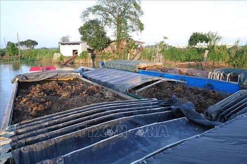 Phát hiện 7 sà lan vận chuyển số lượng lớn đất mặt không hóa đơn