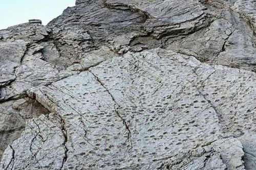 Kinh ngạc với những dấu chân trên vách đá dựng đứng