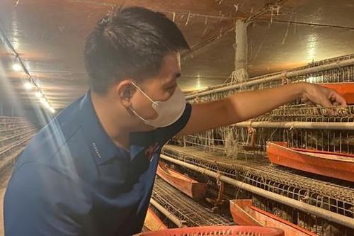 Từ hai bàn tay trắng, chàng trai trẻ trở thành triệu phú nhờ nuôi con 'mắn đẻ'