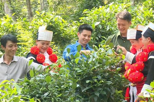 Chuyển đổi số tạo đột phá giảm nghèo đa chiều ở Tuyên Quang