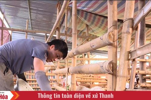 Chàng trai dân tộc Mường làm kinh tế giỏi