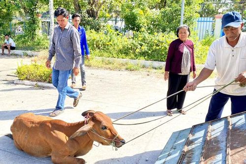 Trung tâm Hỗ trợ thanh, thiếu nhi Việt Nam hỗ trợ sinh kế cho đồng bào dân tộc Khmer tại An Giang